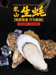 乳山生蚝鲜活新鲜海蛎子5斤带箱海鲜特大牡蛎贝壳即食水产大礼盒顺丰冷链包邮