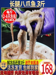 新鲜迷你八爪鱼鲜活冷冻小章鱼海鲜水产生鲜食材商用顺丰