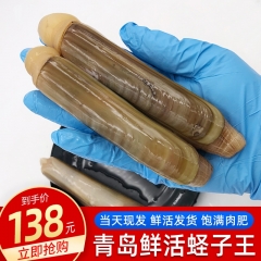 蛏子鲜活大蛏子王竹节蛏大号无沙500克青岛贝类海鲜水产顺丰包邮