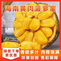 海南黄肉菠萝蜜新鲜水果当季现摘肉厚多汁 热卖 10-14斤