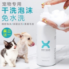 双重开心果乳酪司康