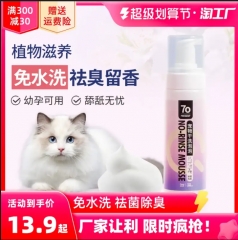 双重开心果乳酪司康